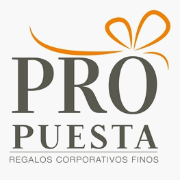 Propuesta.cl Logo